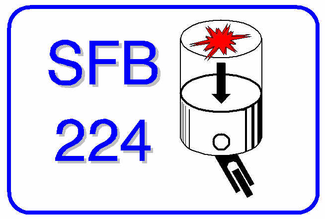 logo_sfb.jpg